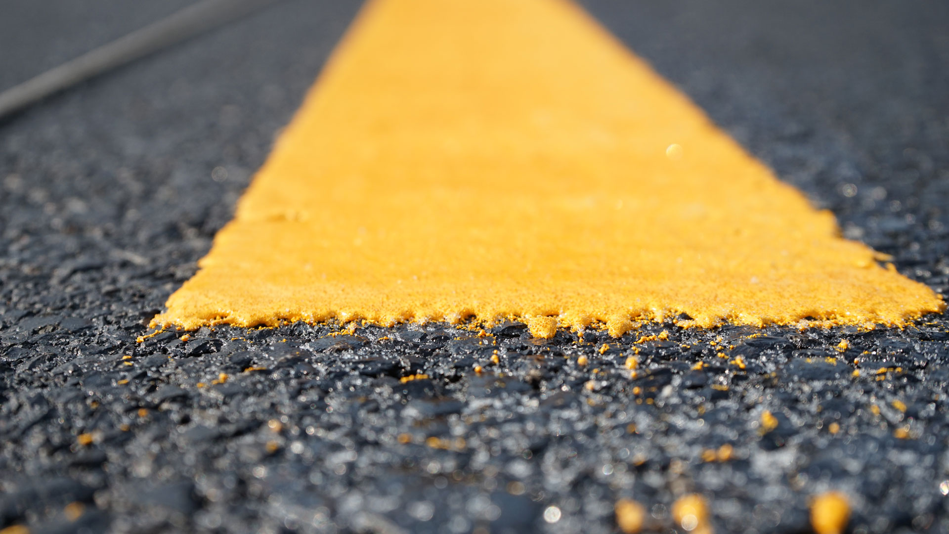 Close-up fresh road marking